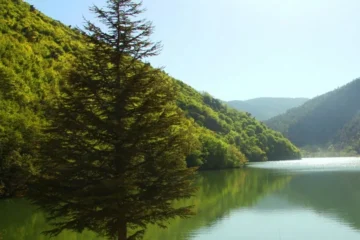 Amasya Borabay Gölü'nde Doğayla Baş Başa
