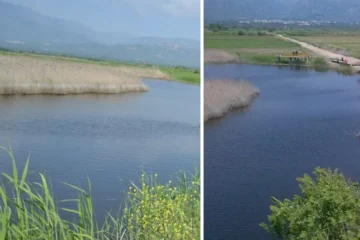 Aşağı Dip Gölü Doğa Parkı, Aydın Yenipazar