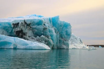 Buzul Körfezi (Glacier Bay) Millî Parkı, Alaska
