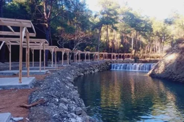 Doğa ve Piknik: Aladağ Yedigöze Orman Parkı