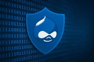Drupal Güvenliği: Neden Kurumsalların Tercihi?