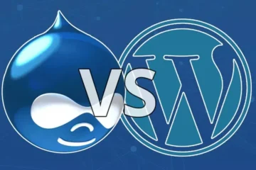 Drupal ve WordPress: Hangisi Daha İyi?