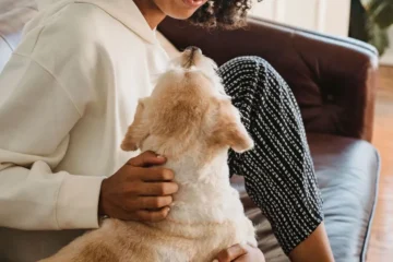 Köpekler İnsanların Duygularını Hisseder mi?