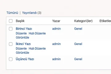 WordPress Yazılar Listesi Çöp Butonu Kaldırmak